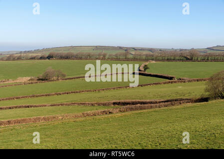 Exmoor National Park, North devon, England, UK. February 2019. Stock Photo