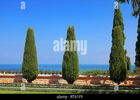 Beautiful cypress trees and flowers in the Bahai gardens overlooking the Mediterranean sea, Haifa, Israel Stock Photo