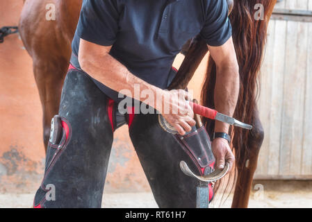 Farrier at work trimming the horses hoof . Stock Photo