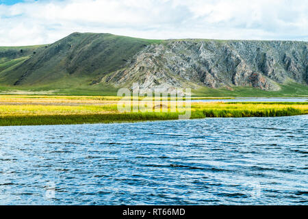 Grazing on the shores of Baikal Grazing on the shores of Baikal Stock Photo
