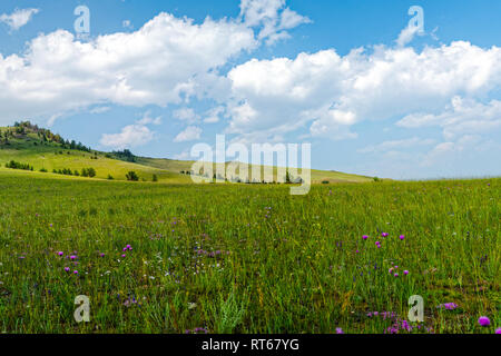 Landscape meadows and pastures of the Baikal National Park. Landscape meadows and pastures of the Baikal National Park. Stock Photo
