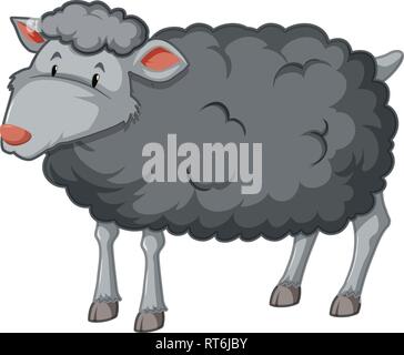 Black Sheep white background illustration Stock Vector