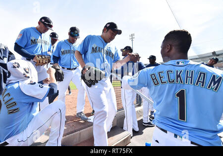 Seattle Mariners starting pitcher Yusei Kikuchi is greeted by teammate Tim Beckham #1 in the dugout after the top of the second inning during a spring training baseball game against the Cincinnati Reds at Peoria Stadium in Peoria, Arizona, United States, February 25, 2019. Credit: AFLO/Alamy Live News Stock Photo