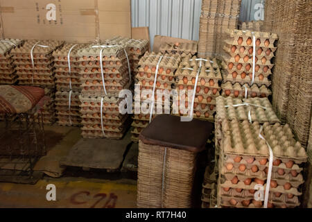 Eggs and egg cartons, Shymkent market, Kazakhstan Stock Photo