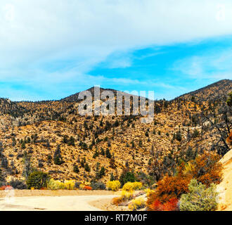 Mountain dirt road curving around autumn vegetation with brown mountain in background under blue sky with white clouds. Stock Photo