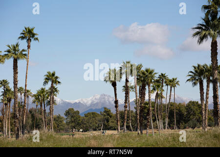 Snow in Phoenix while golfers play Stock Photo