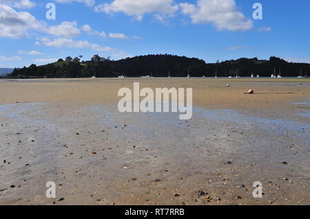 Mud flats with buoys and chains of tidal moorings in harbor at low tide. Stock Photo
