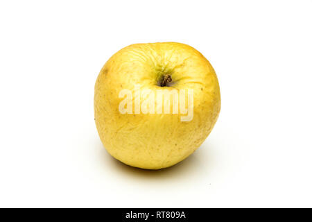 A picture of an ordinary green Golden Delicious apple, without modifications The apple is old, dry an not attractive. It is wrinkled and puckered. Stock Photo