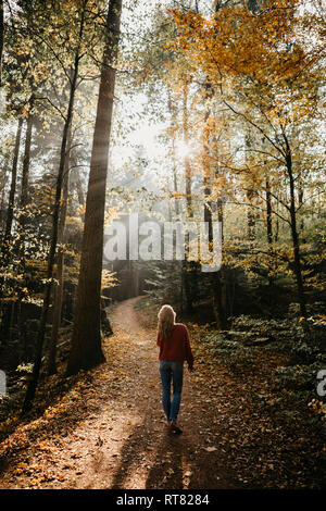 Germany, Black Forest, Sitzenkirch, woman walking in autumnal forest