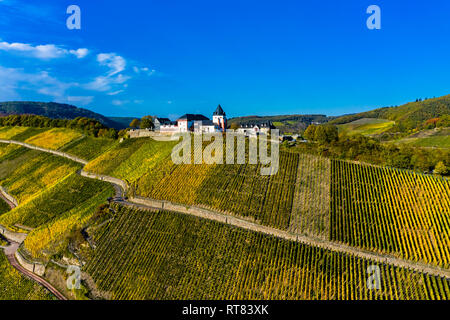 Germany, Rhineland-Palatinate, vineyards and Marienburg near Puenderich