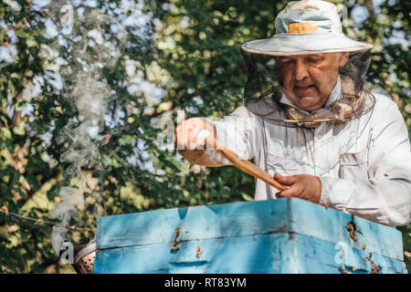 Russland, Beekeeper checking frame with honeybees Stock Photo