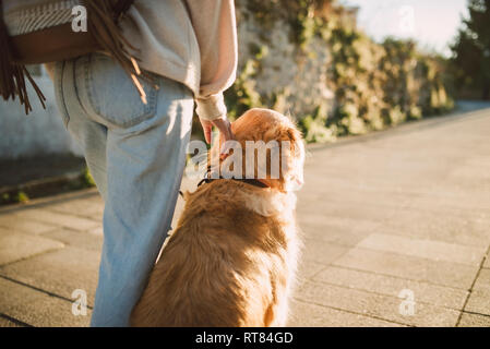 Woman with her golden retriever dog on a path Stock Photo