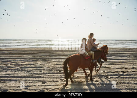Chile, Vina del Mar, mother with two sons riding horses on the beach Stock Photo