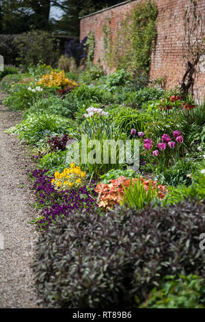 English country garden with a border of grasses and hydrangeas Stock ...