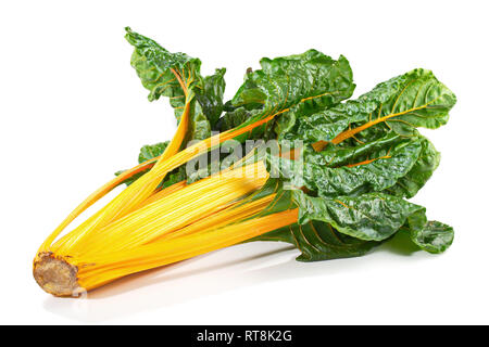 Yellow Chard with Leaves on white Background Stock Photo