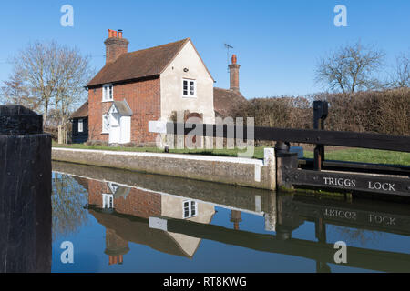 Triggs Lock and lock keepers cottage on the Wey Navigation near Send in Surrey, UK Stock Photo