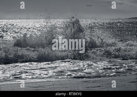 Palma de Mallorca - The big wave and the windsurfing sails in the barckgroud. Stock Photo