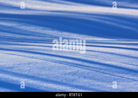 The wind has formed patterns in the snow covering a frozen lake. The shadows of trees are falling diagonally on the snow. Stock Photo