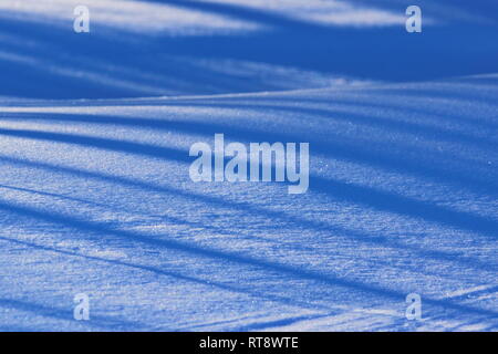 The wind has formed patterns in the snow covering a frozen lake. The shadows of trees are falling diagonally on the snow. Stock Photo