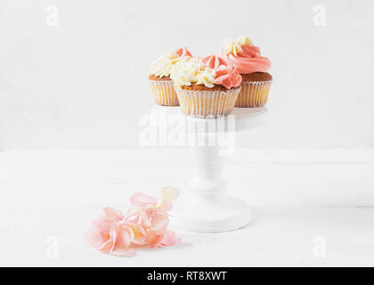 Fresh cupcakes with whipped cream and cream on a high white stand light background. Copy space. Selective focus. Stock Photo
