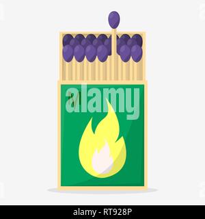 Collection of matches. Burning match with fire, opened matchbox, burnt matchstick. Flat design style. Vector illustration isolated on white background Stock Vector