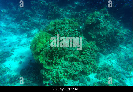 Abstract Aquatic  Deep Blue Seabed Underwater Background Stock Photo