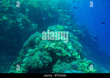 Aquatic  Deep Blue Seabed Underwater Background Stock Photo