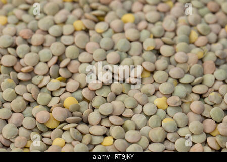 raw green lentil seeds macro background Stock Photo