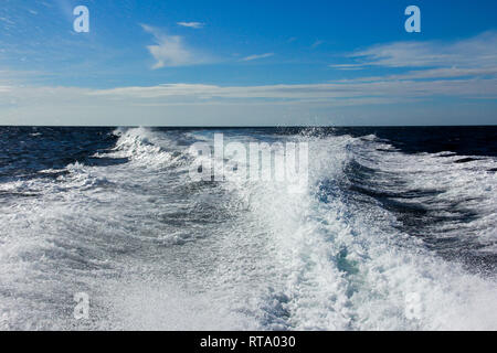 Fishing speedy boat prop wash, white wake on the blue ocean sea Stock Photo  - Alamy