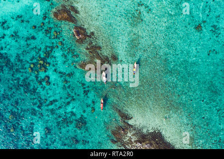 View from above, stunning aerial view of some tourists who do snorkeling in a beautiful, transparent and turquoise sea, Phi Phi Island, Thailand. Stock Photo