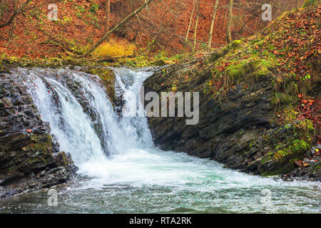 small forest waterfall in autumn. beautiful nature scenery on the river. clear water, fallen foliage and moss on the boulders Stock Photo