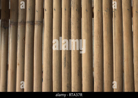 Dry brown bamboo pattern . texture background