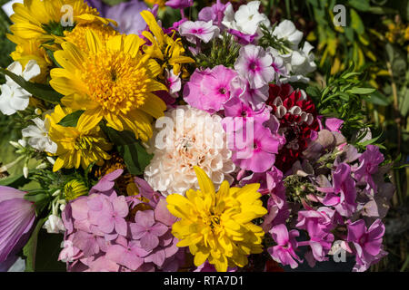 beautiful bouquets of flowers and herbs Stock Photo