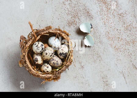 Natural nest with quail eggs on the textured grey table, top view Stock Photo
