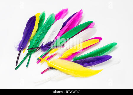 Colorful feathers isolated on white background Stock Photo