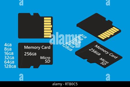 Card SD simple colored Stock Vector
