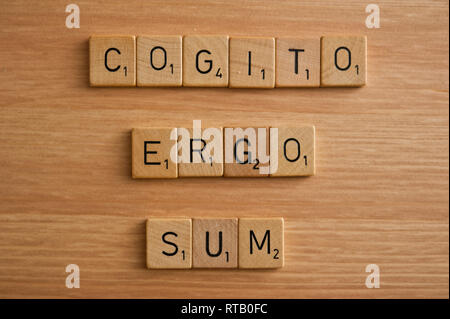 Cogito Ergo Sum Stock Photo - Alamy