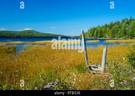 Eagle Lake seen from the grassy shore on a sunny afternoon. Acadia National Park, Maine, USA. Stock Photo