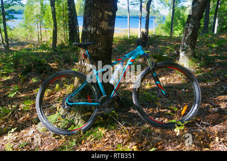 Mountain bike leaning against a tree in the forest with a lake partly visible in the background. Stock Photo