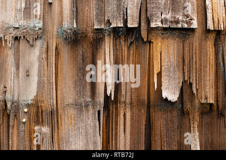 A close up of weathered, rotting and broken wooden cladding Stock Photo