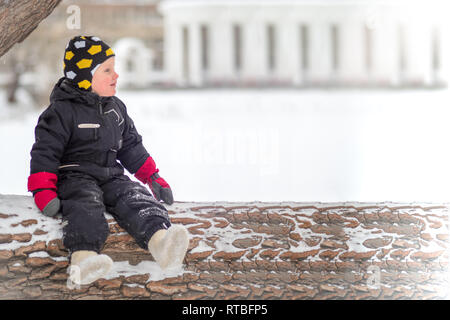 Degree Celsius meaning Inquiry Little boy sits on fallen tree trunk in forest next to lying dog malamute  and feeds him by food Stock Photo - Alamy