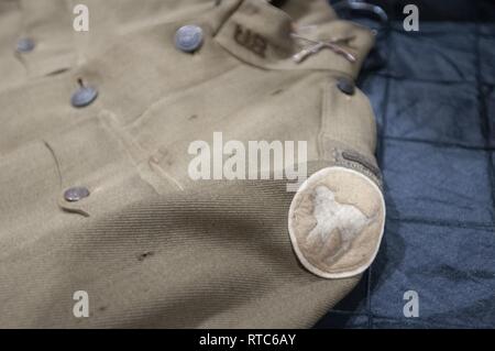 The 81st Readiness Division Soldiers, known as the Wildcats, celebrated ...