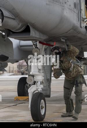 A pilot from the 190th Fighter Squadron preflights an A-10 Thunderbolt II while a crew chief from the 124th Aircraft Maintenance Squadron prepares the aircraft during a unit training assembly at Gowen Field, Boise, Idaho on Feb. 9, 2019. The pilots and crew chiefs work closely together to ensure a successful sortie can occur. Stock Photo