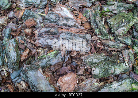 Natural graphic backgrounds Stock Photo
