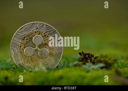 Ripple XRP cryptocurrency physical coin placed on the green moss Stock Photo