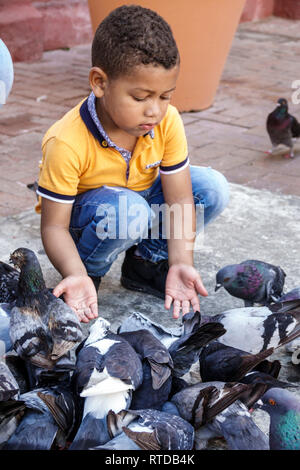 Cartagena Colombia,boy boys,male kid kids child children youngster,child,preschool age,feeding pigeons,Hispanic resident residents,squatting,COL190119 Stock Photo