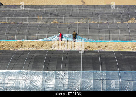 Tangshan, China's Hebei Province. 28th Feb, 2019. Aerial photo taken on Feb. 28, 2019 shows farmers setting up a greenhouse in Xizhuang Village, Qianxi County, north China's Hebei Province, Feb. 28, 2019. Credit: Wang Aijun/Xinhua/Alamy Live News Stock Photo