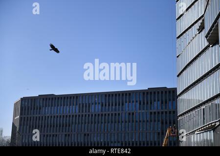 Berlin, Germany. 28th Feb, 2019. Construction site to build a new office and commercial building cube berlin on Washingtonplatz - Rahel-Hirsch-Strasse, Germany, city of Berlin, 28.February 2019. Credit: Frank May | usage worldwide/dpa/Alamy Live News Stock Photo