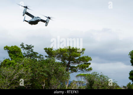 An MV-22B Osprey tiltrotor aircraft belonging to Marine Medium Tiltrotor Squadron 262 (reinforced) flies above Camp Schwab during platoon attack training at Camp Schwab, Okinawa, Japan, Feb. 28, 2019. During the training, Marines with Charlie Company, Battalion Landing Team, 1st Battalion, 4th Marines refined their ability “To locate, close with and destroy the enemy by fire and maneuver, or repel the enemy’s assault by fire and close combat,” the mission of the Marine Corps rifle squad. Charlie Company Marines are the airborne raid specialists with BLT 1/4, the Ground Combat Element for the 3 Stock Photo