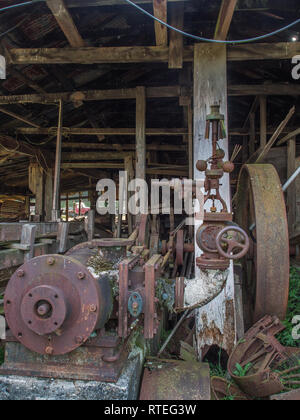 Disused steam engine,  flyball governor,  Endeans Mill, Waimiha, Ongarue, King Country, New Zealand Stock Photo